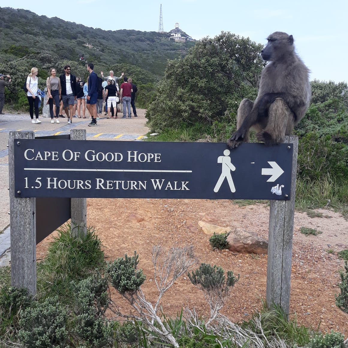 Cape of Good Hope - Scenic View 1